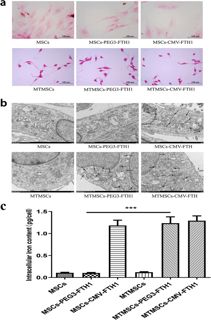 Fig. 6