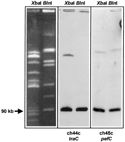 FIG. 5