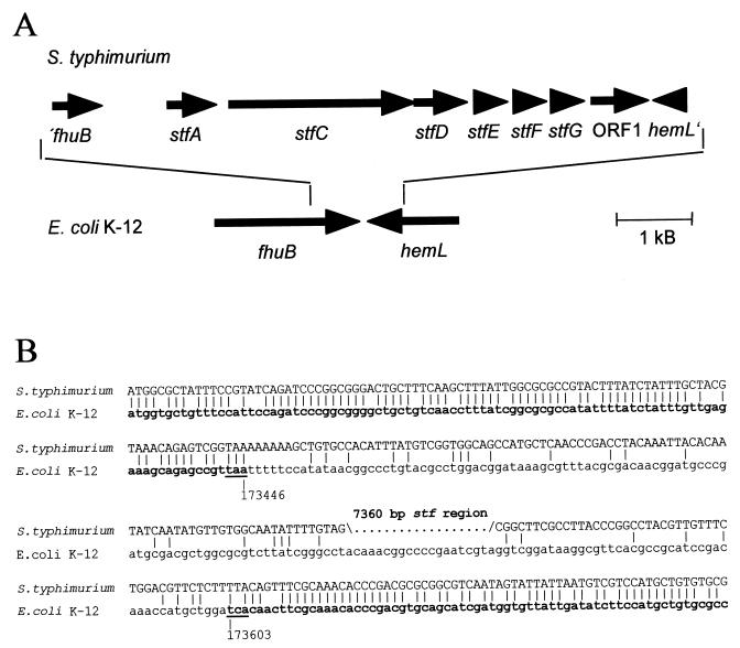 FIG. 7