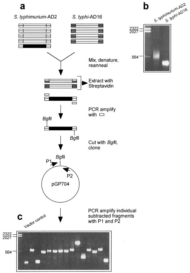 FIG. 1