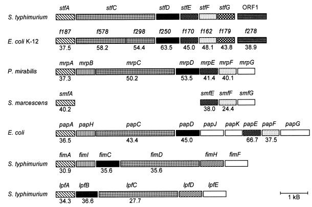 FIG. 6