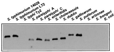 FIG. 8