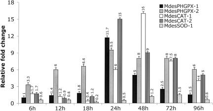 Fig. 4.