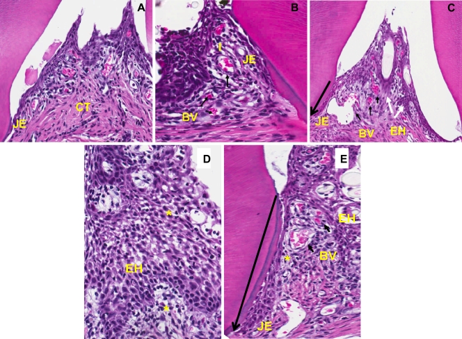 FIG. 5.