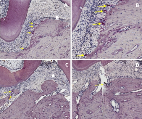 FIG. 7.