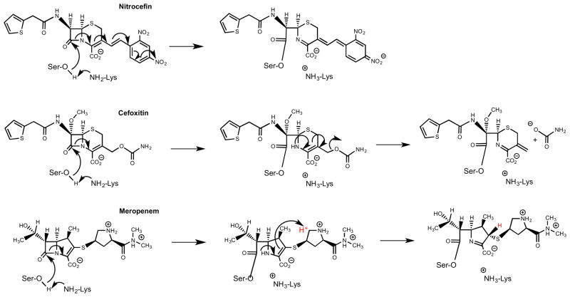 Scheme 4