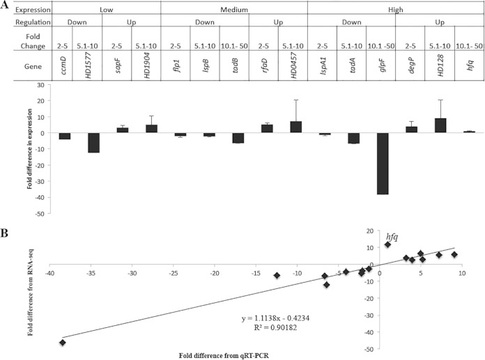 FIG 3