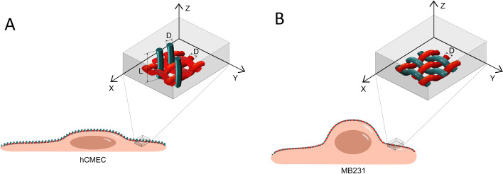 FIG. 5.