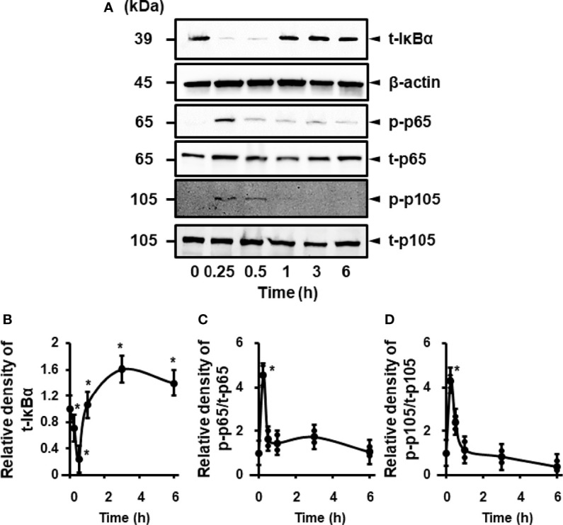 Figure 3