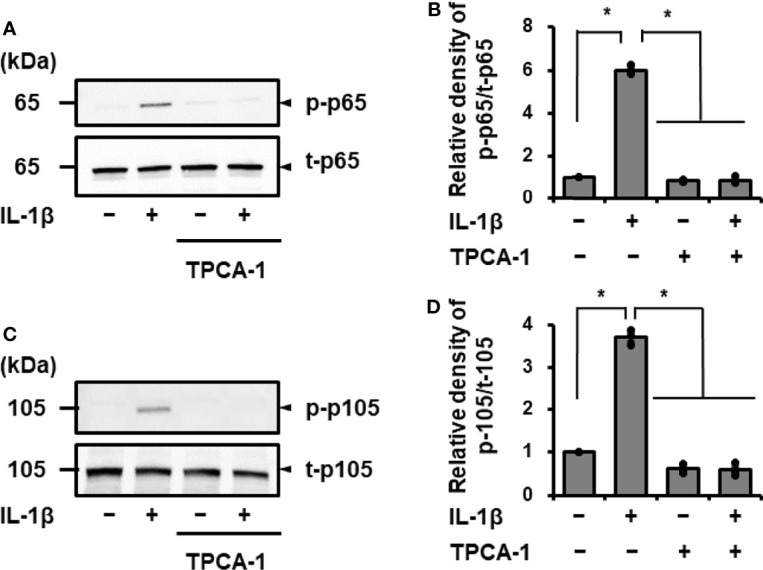 Figure 4