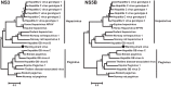 FIG 2