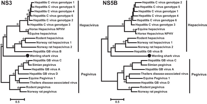 FIG 2