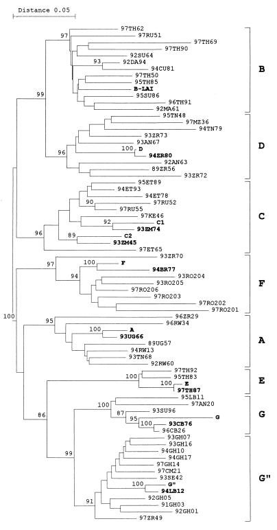 FIG. 1