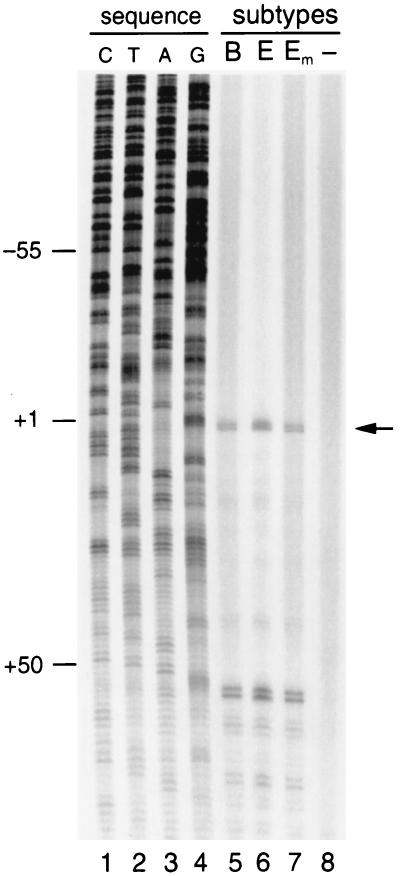 FIG. 6