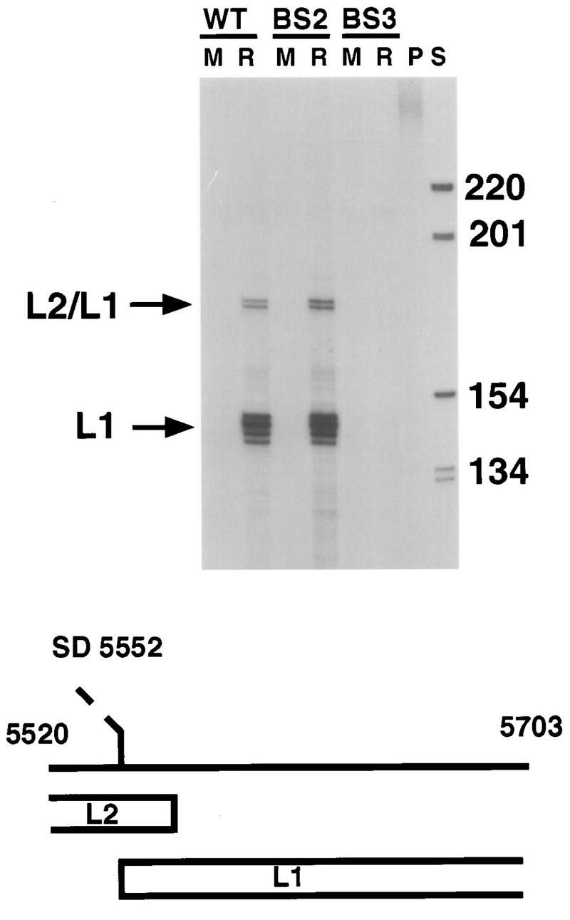 FIG. 6