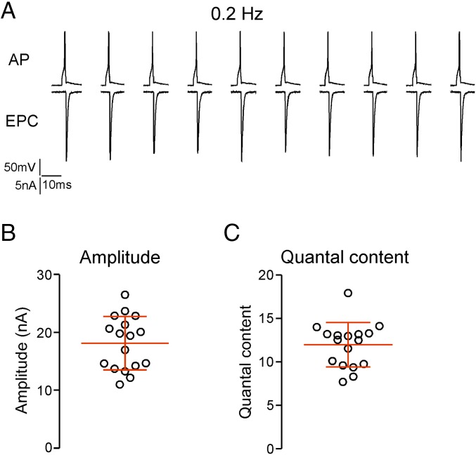 Fig. 3.