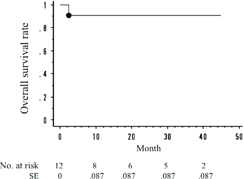 Fig. 3