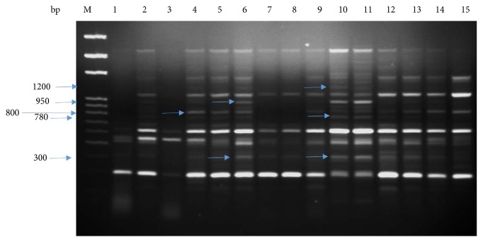 Figure 11