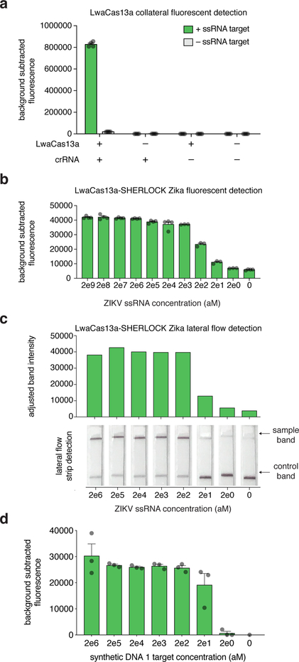 Figure 5: