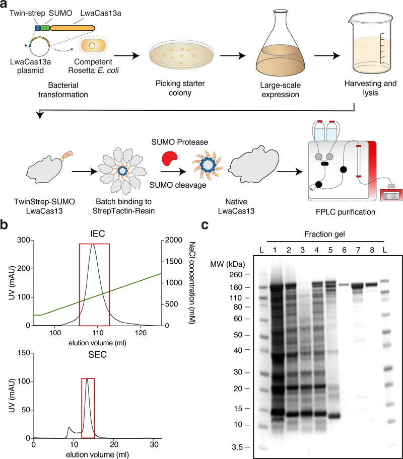 Figure 4: