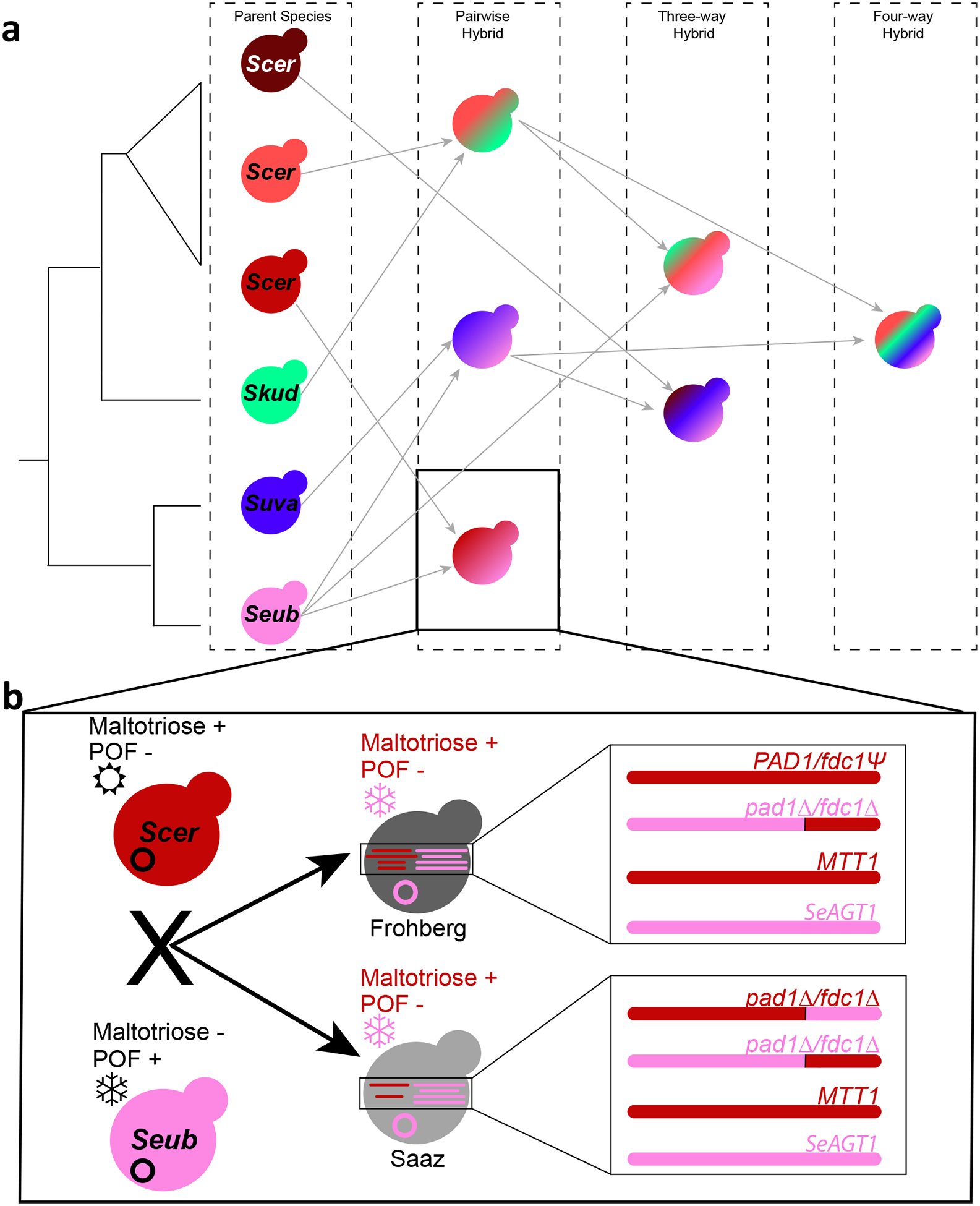 Figure 5.