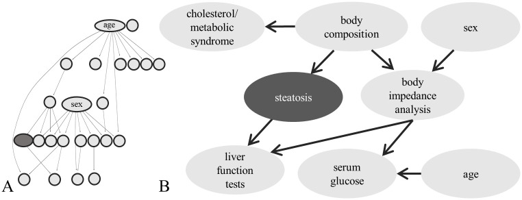 Fig 5