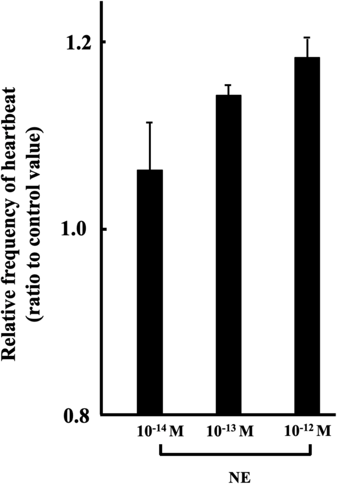 Fig. 5