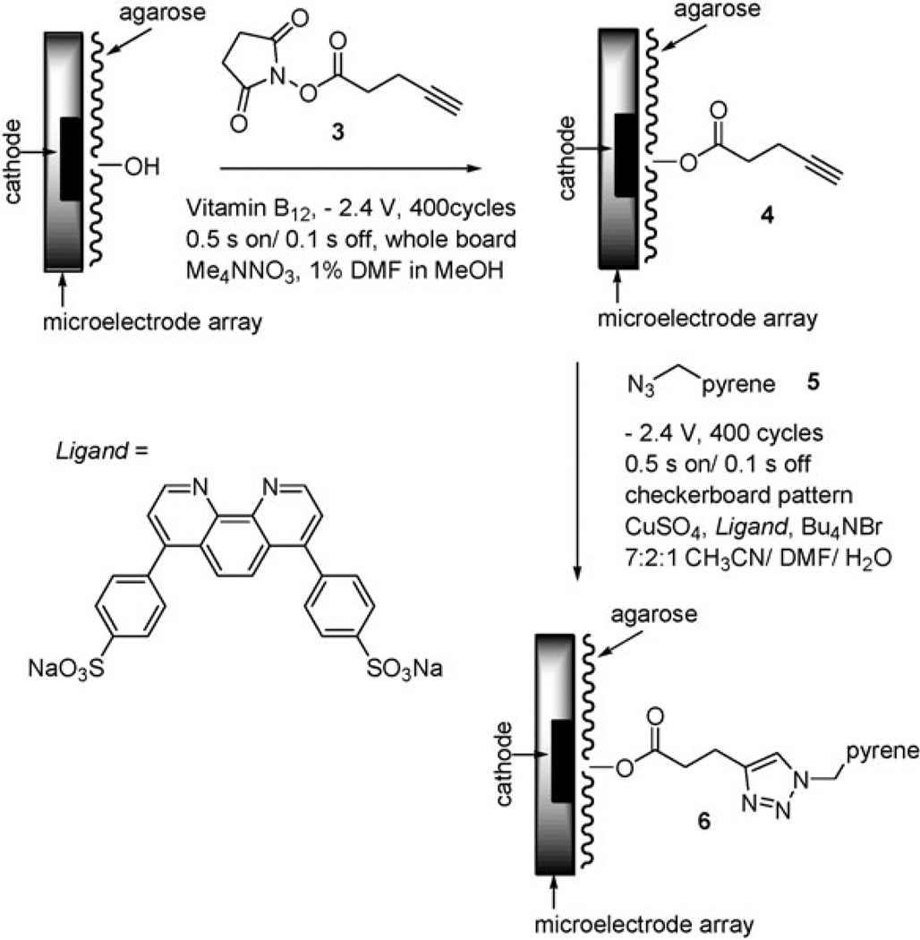 Scheme 1