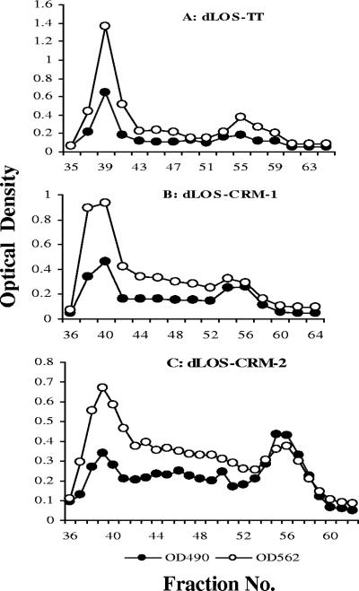 FIG. 2.