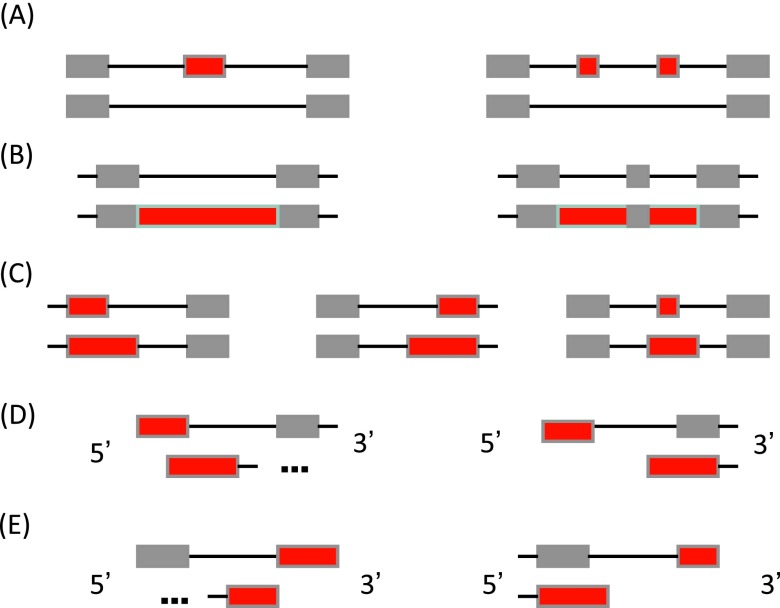 Figure S13. 