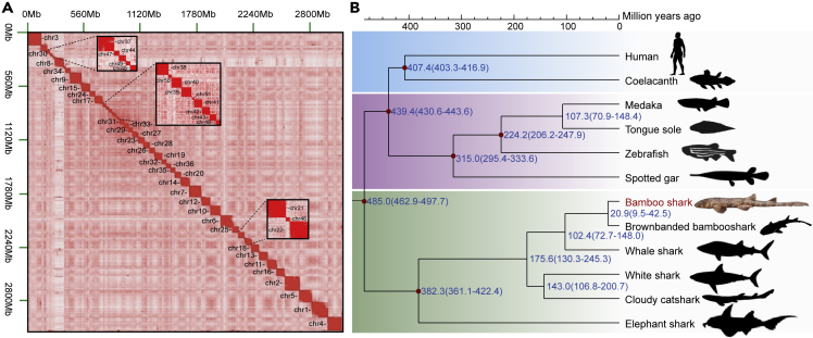 Figure 1