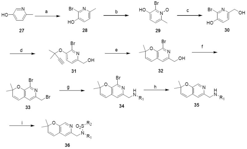 Scheme 8