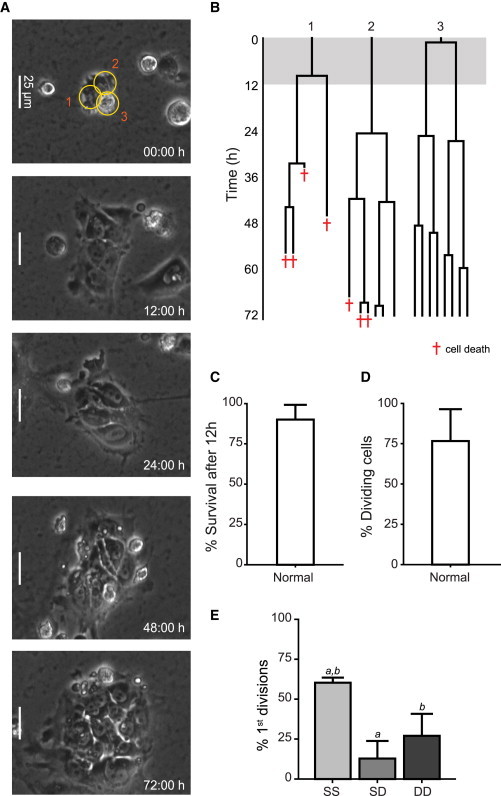 Figure 5