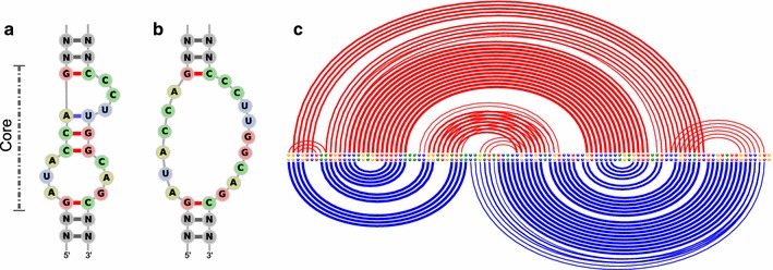 Fig. 3