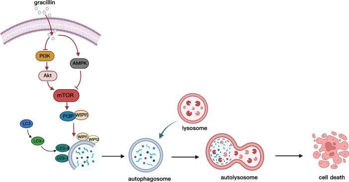 Figure 10