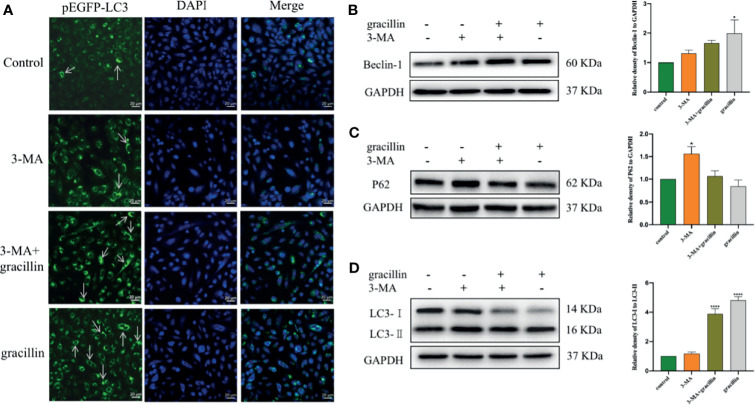 Figure 6