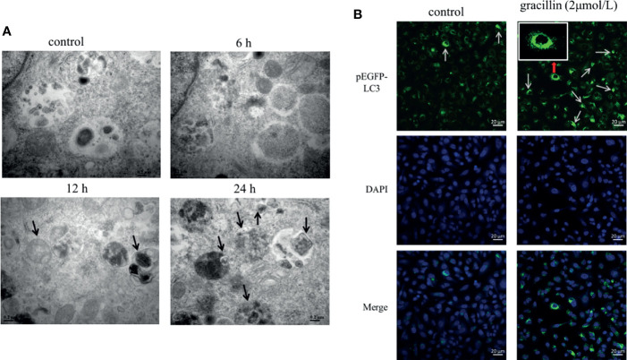 Figure 3