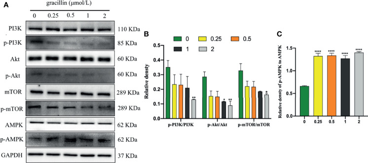 Figure 7