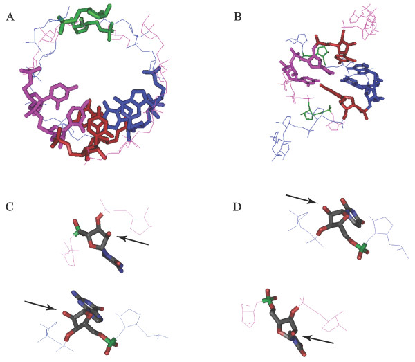 Figure 11