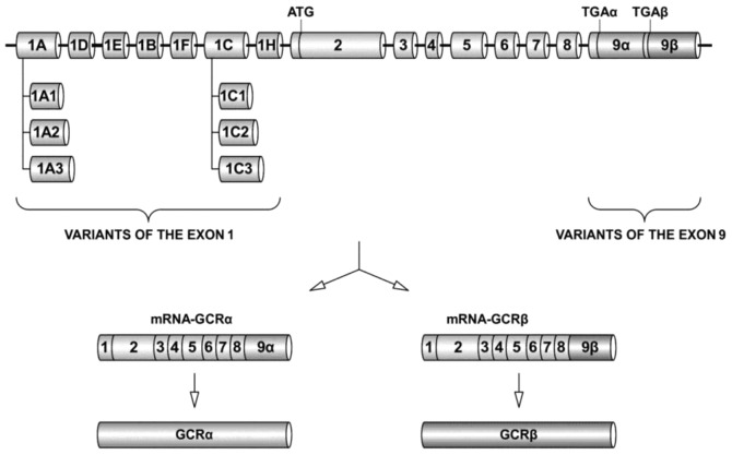 Figure 1.