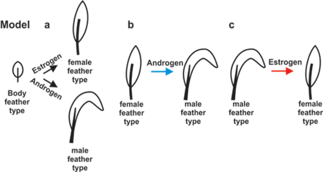 Fig. 9