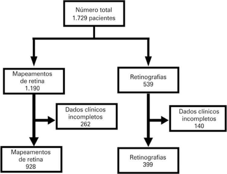 Figura 1