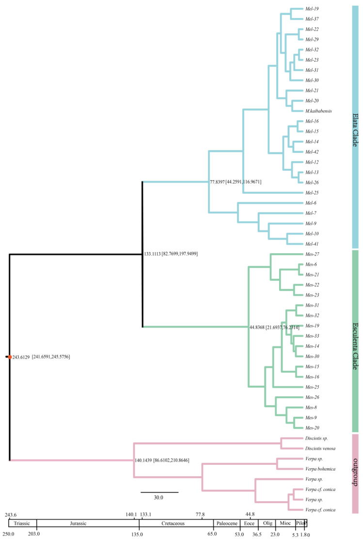 Figure 6