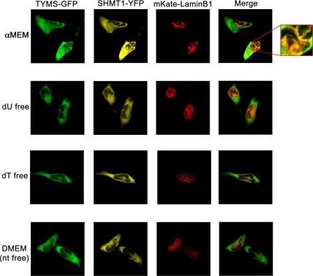 FIGURE 3.