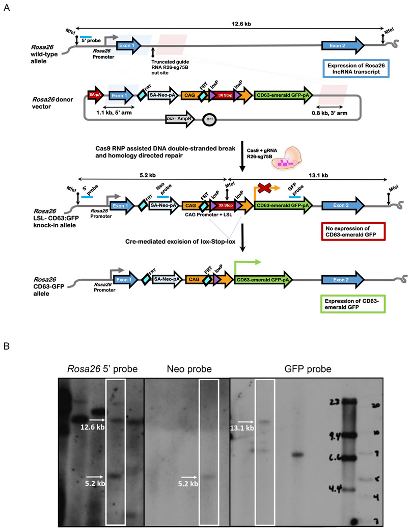 Fig 2.