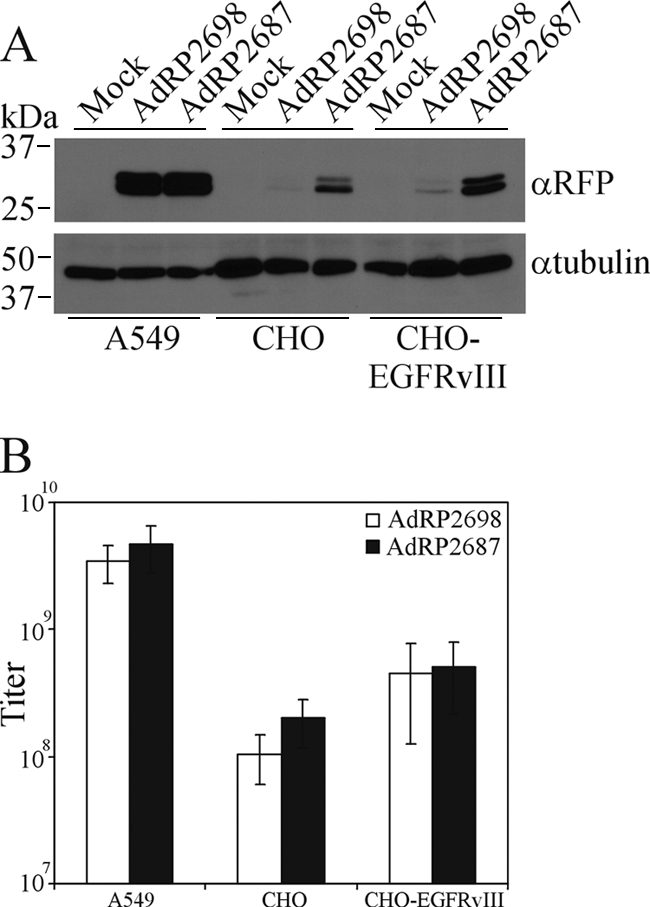 FIG. 5.