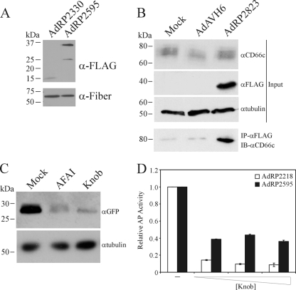 FIG. 6.