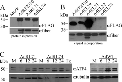 FIG. 3.