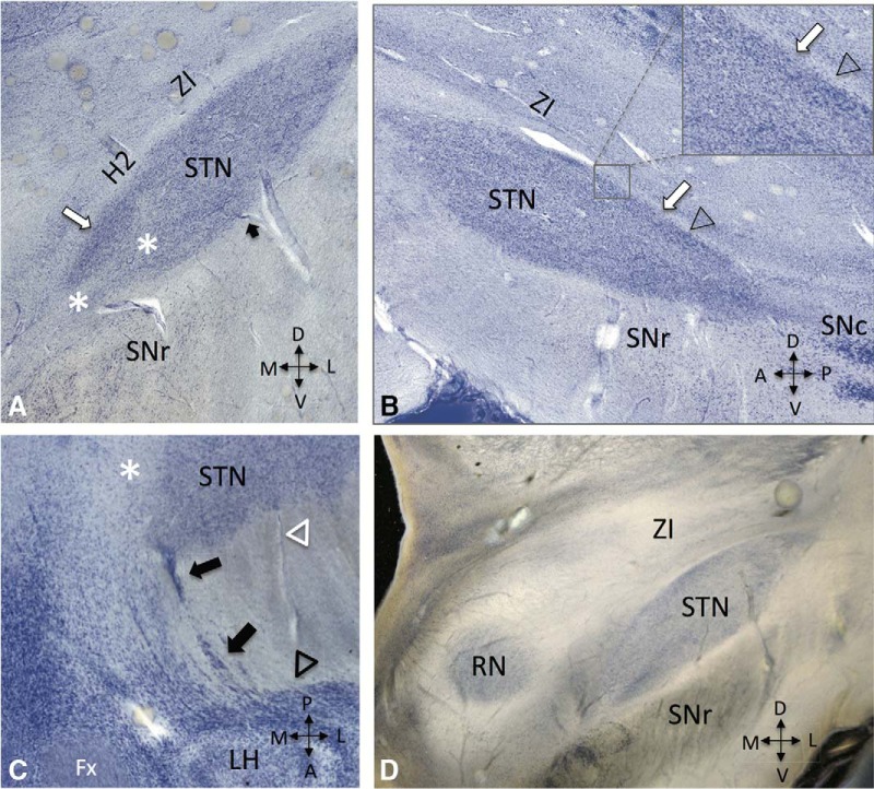 Figure 4.