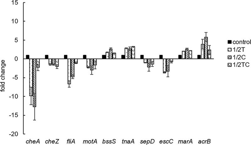 FIG 1